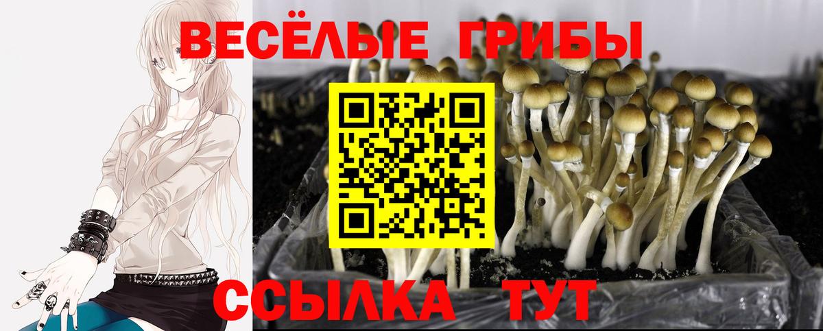 Елизово  Галлюциногенные грибы мицелий  Вход с VPN  Галлюциногенные грибы GOLDEN TEACHER 